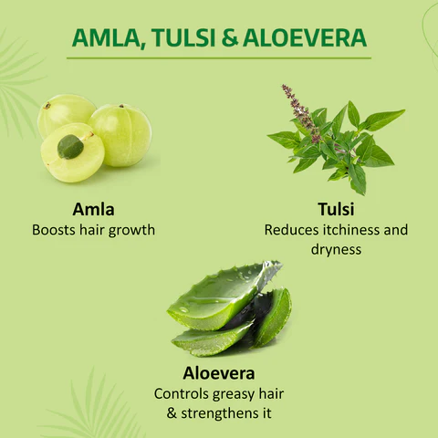 PPLB8902979053877_3_large Nyle Amla & Tulsi Shampoo – Hair Growth & Scalp Care