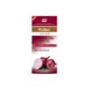 Wellice Onion Oil - Anti-Hair Loss Solution for Strong and Healthy Hair