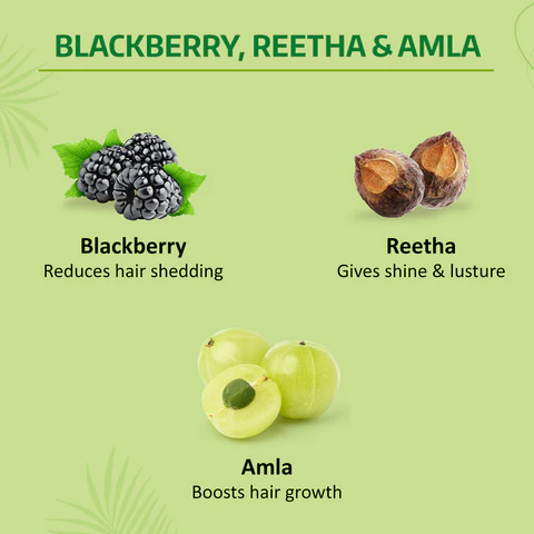 PPLB8902979053891_3_large Nyle Reetha & Black Berry Shampoo – Gentle Cleansing & Shine